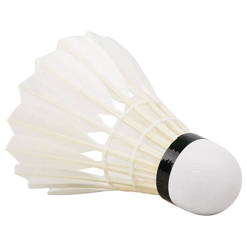 New 12PCS Professional Badmint - Badminton Event incelemesi ve fiyatı