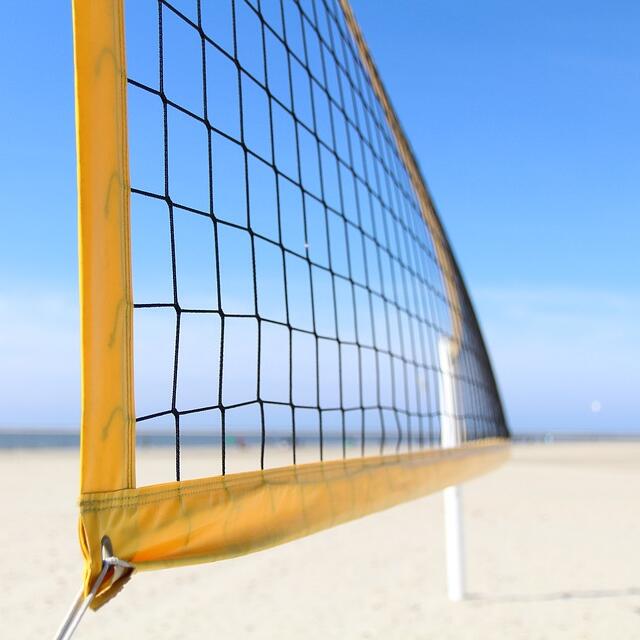 Multi-Purpose Knotted Sports N - Badminton Ina incelemesi ve fiyatı
