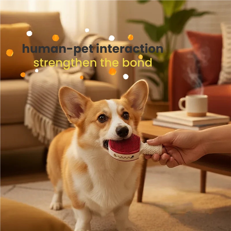 Dog toy badminton ball, unbrea - Badminton Event incelemesi ve fiyatı